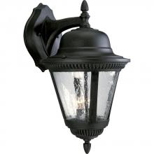 Progress P5864-31 - Westport Collection Two-Light Large Wall Lantern