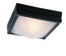 Trans Globe 43302 BK - 1 LT FLUSHMOUNT-FROSTED GLASS