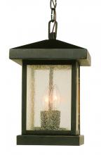 Trans Globe 45643 WB - Santa Cruz 13" Hanging Lantern